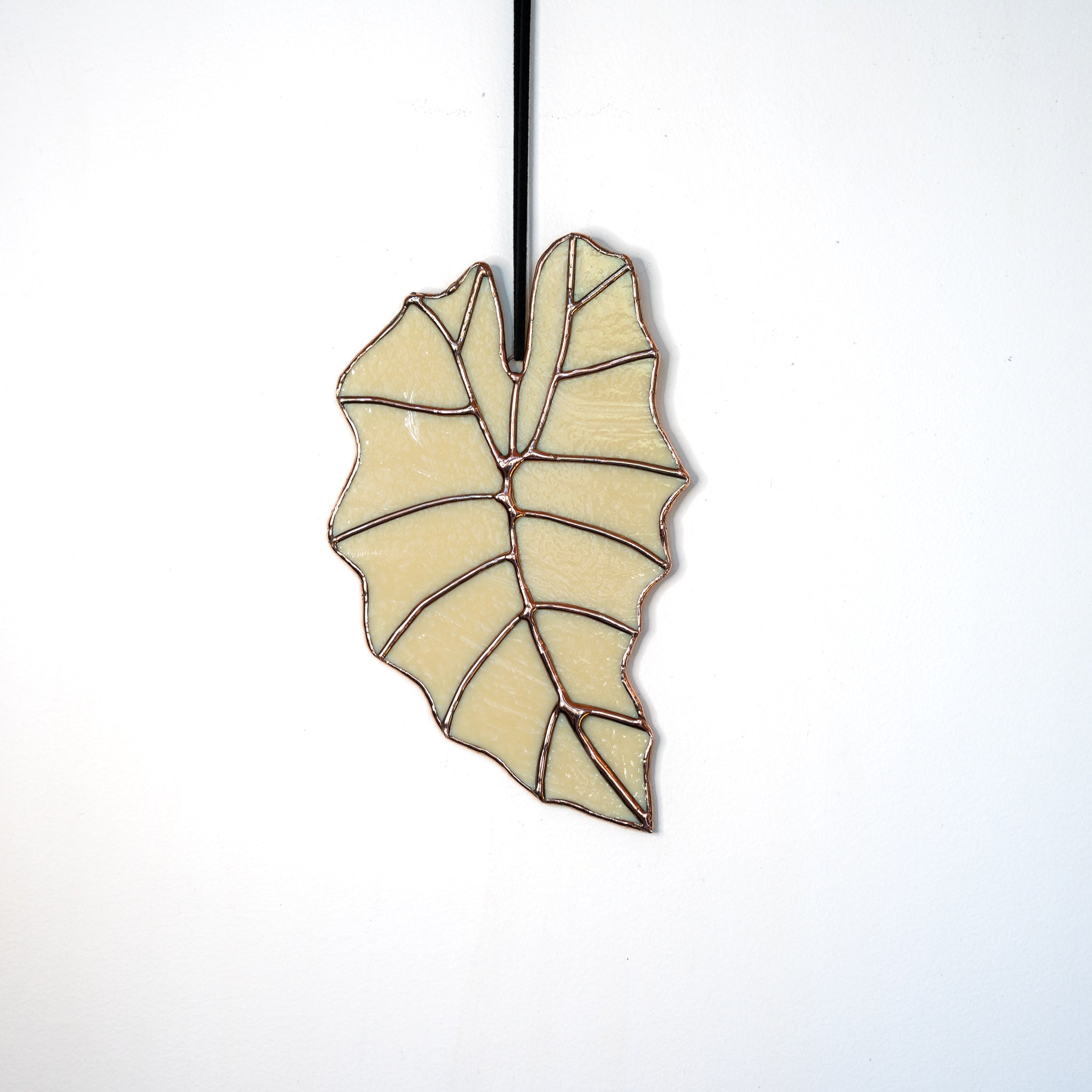 Alocasia Leaf