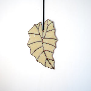 Alocasia Leaf