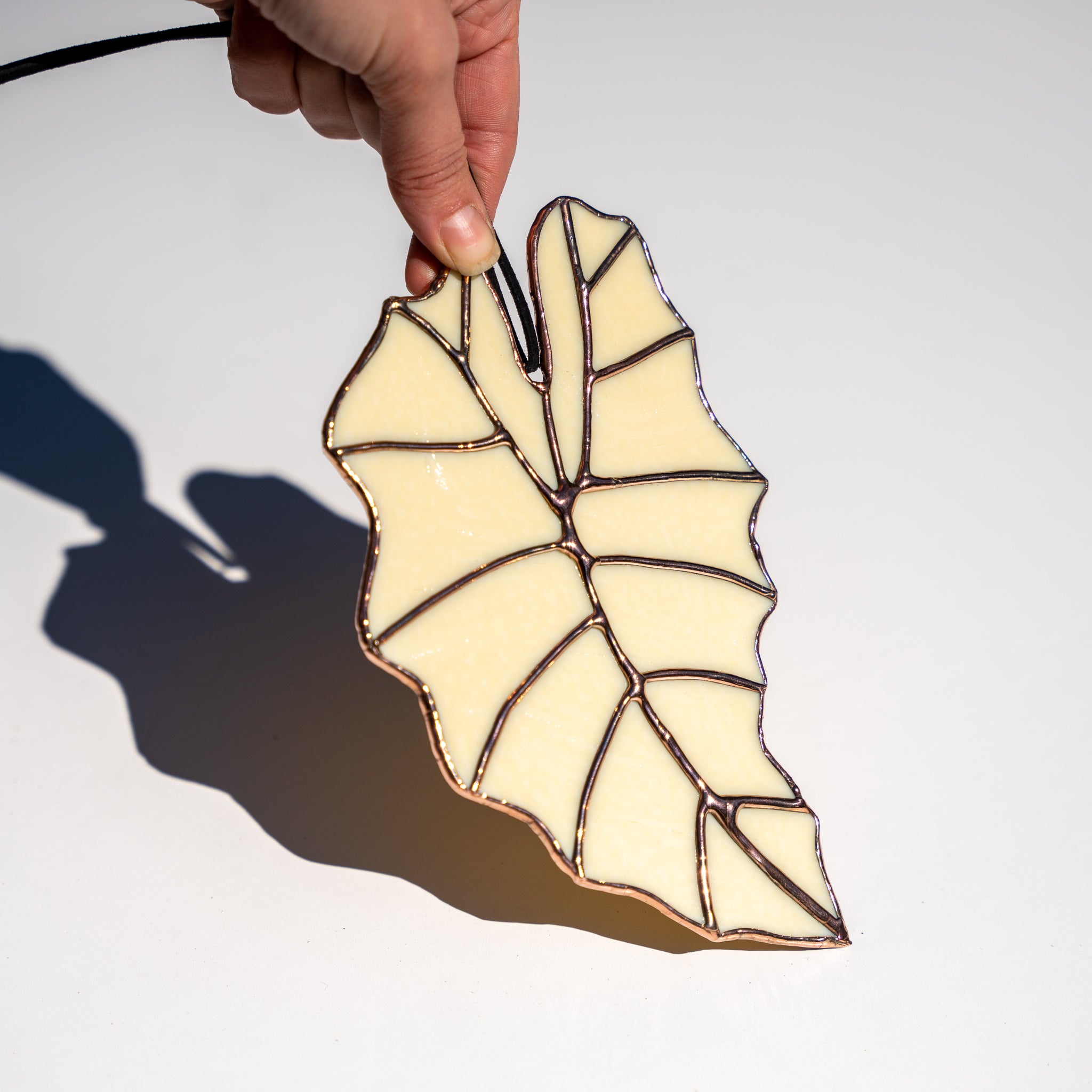 Alocasia Leaf